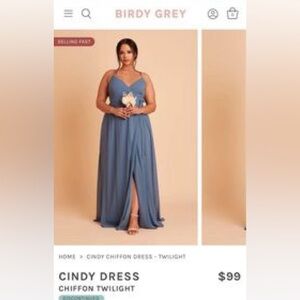 Birdy Grey Bridesmaid Dress